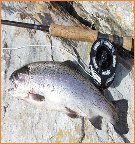 Good place for fly fishing in Wales - JWflyfishing